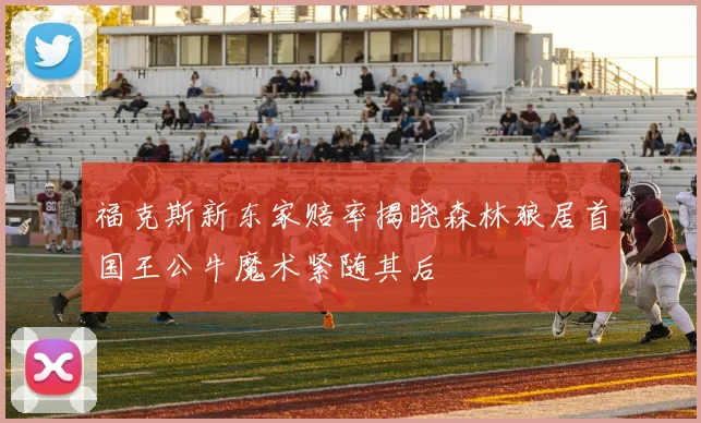 福克斯新东家赔率揭晓森林狼居首国王公牛魔术紧随其后