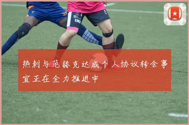 热刺与范赫克达成个人协议转会事宜正在全力推进中
